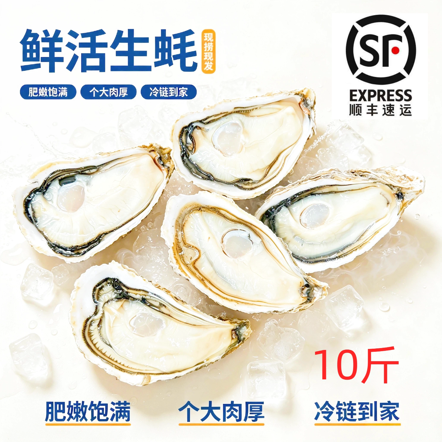 鲜活生蚝10斤顺丰包邮湛江新鲜生蚝