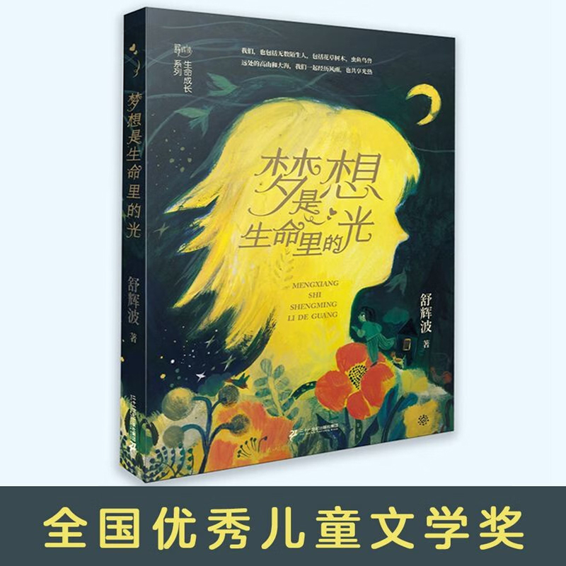 梦想是生命里的光舒波辉21世纪书