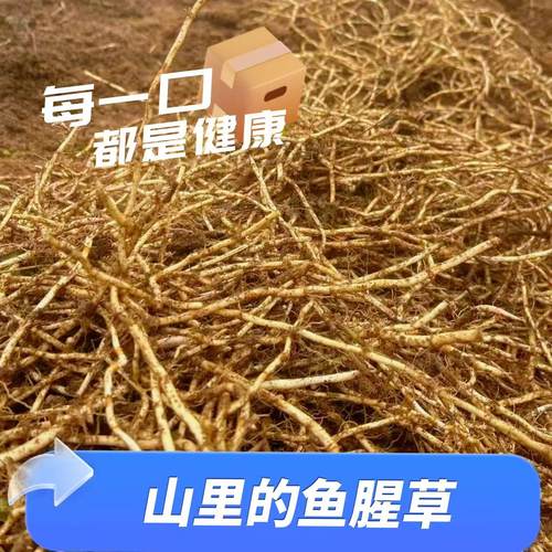 不种鱼腥草，只做大自然的搬运工