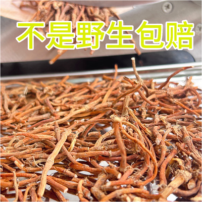 高山野生鱼腥草干货中草药凉茶鱼星草折耳根100克无叶新鲜鱼腥草