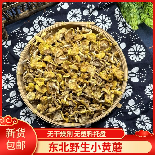 东北野生小黄蘑小鸡炖蘑菇蘑菇