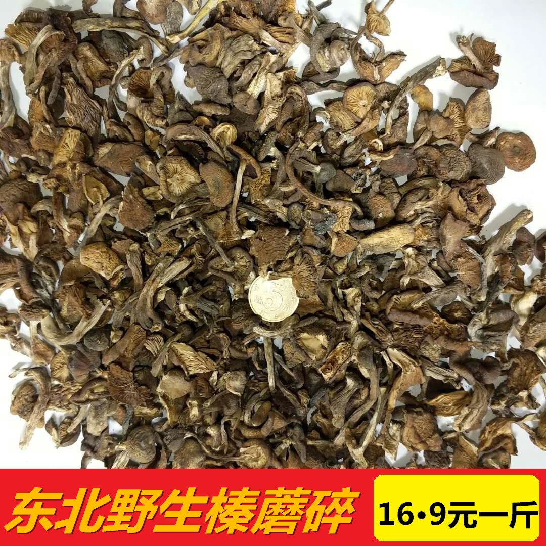 新货东北野生榛蘑碎榛蘑干货野生蘑菇菌汤包打卤做馅500g两斤包邮