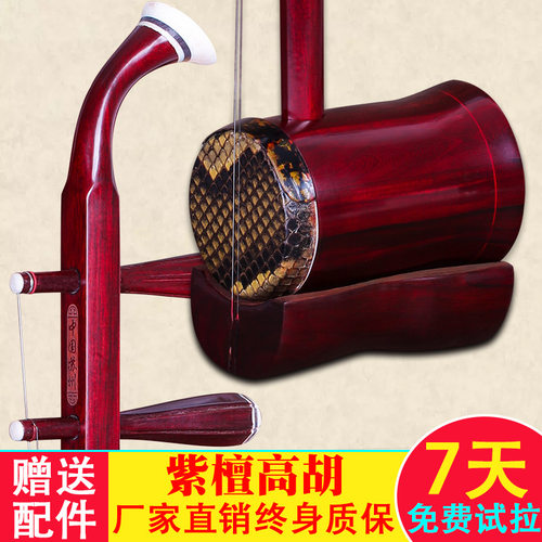 苏州红木高胡非洲小叶紫檀高胡纯手工  高音二胡乐器考级用琴
