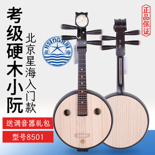 北京星海小阮8501硬木小阮星海牌成人儿童考级学习教学实木小阮琴