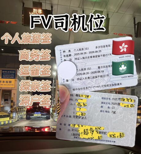 FV司机位：可驾驶粤Z港通关