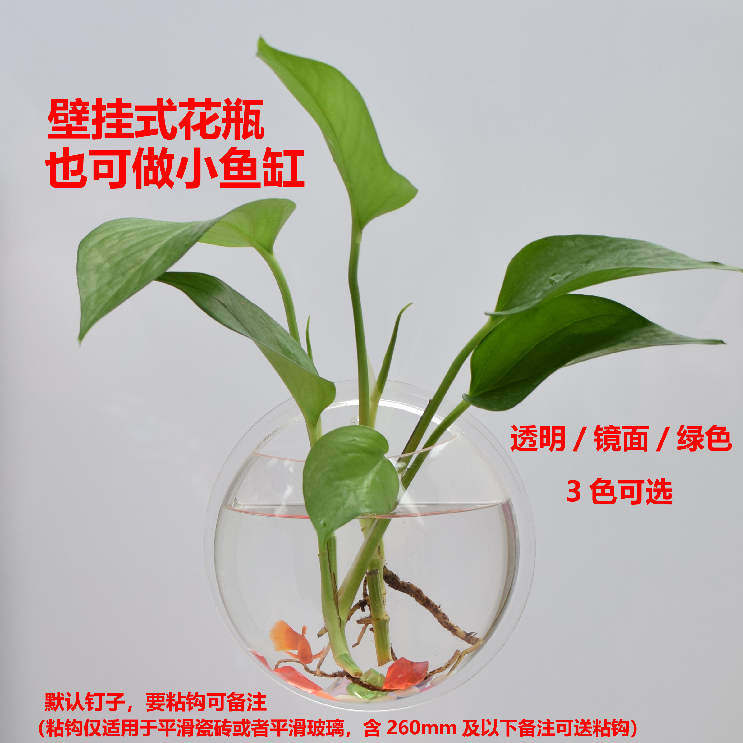 挂壁花瓶绿萝绿植花盆家居装饰花器水培壁饰墙上圆形装饰器皿贴墙