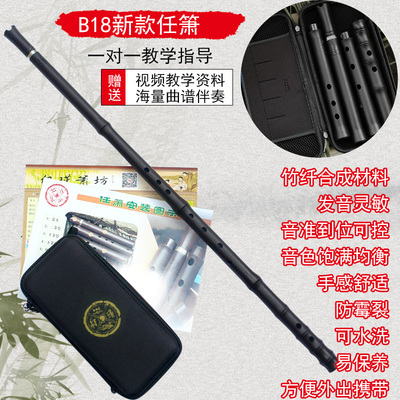 成人乐器初学零基础入门