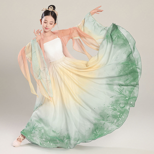 2025儿童古典舞蹈服纱衣大摆裙中国舞飘逸仙气大袖 女身韵演出服 衫