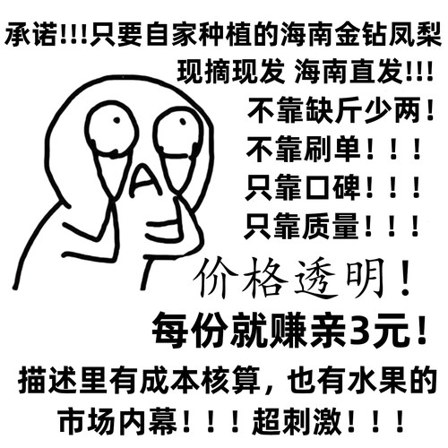 正宗海南台农17号金钻凤梨新鲜甜
