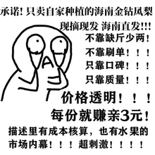 特级海南树上熟金钻凤梨台农17号当季新鲜水果包邮整箱10斤甜大果