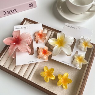 跨境夏季风甜美鸡蛋花抓夹套装后脑勺发夹鲨鱼夹亚克力花朵发饰