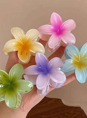 彩色鸡蛋花精致抓夹高级感