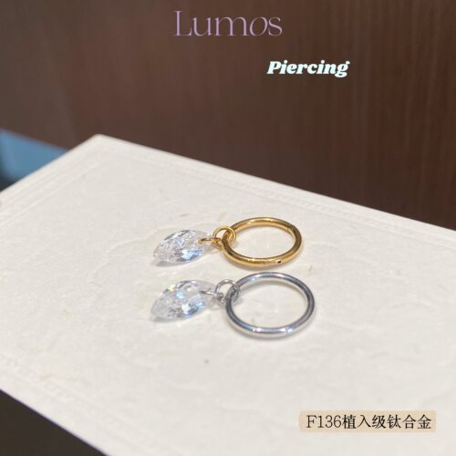 Lumos Dew 马眼设计感辣妹简约高级感F136钛合金耳圈养耳洞 T111