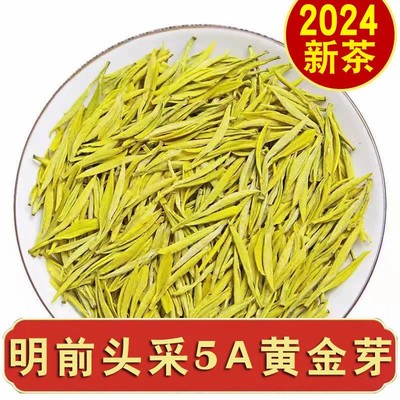 2024新茶头采5A豆香黄金芽精品特级奶香散装罐装礼盒装高档绿茶叶