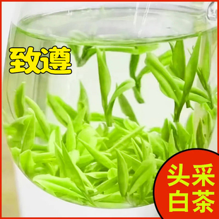 特级珍稀白茶明前嫩芽【致遵】2025新茶头采高档茶叶100克分2罐装