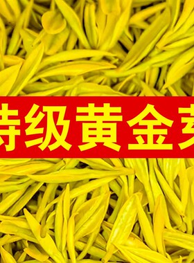高档黄金芽】正宗2025新茶绿茶叶特级一级雨前珍稀白茶黄金叶250g