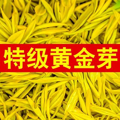 高档黄金芽】正宗2024新茶绿茶叶特级一级雨前珍稀白茶黄金叶250g