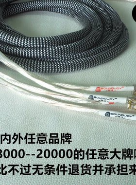 纯银音响线喇叭线银彩天朗丹拿