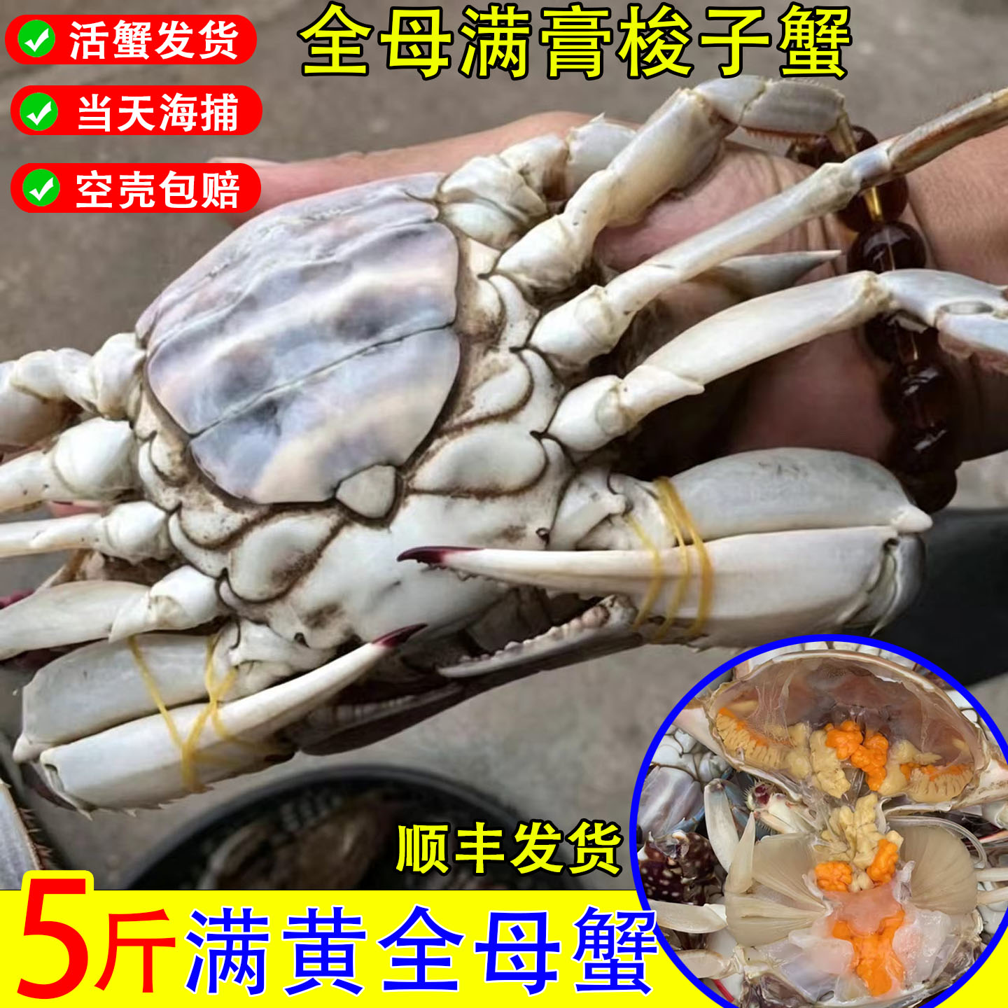 满黄海捕大梭子蟹红膏保鲜