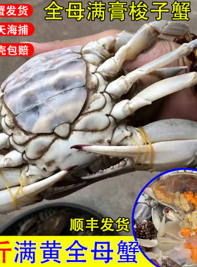 满黄海捕大梭子蟹红膏保鲜
