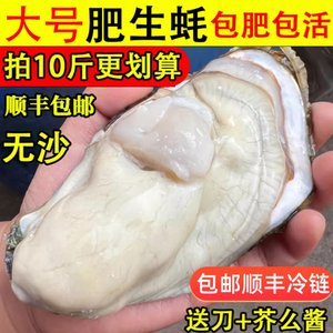 乳山生蚝肥美牡蛎包肥包活包邮