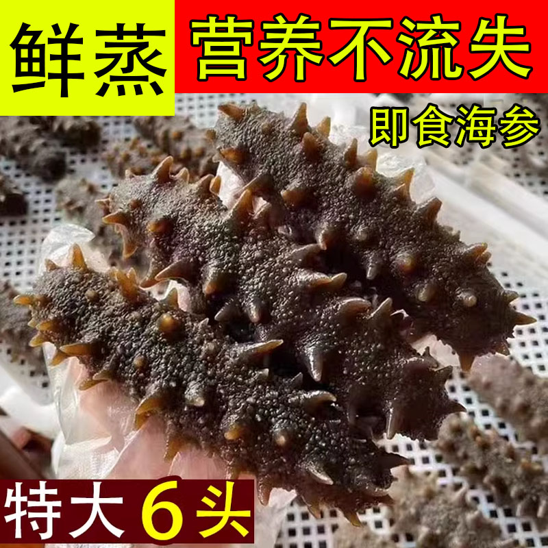 大连即食海参底播鲜海参鲜发冷蒸