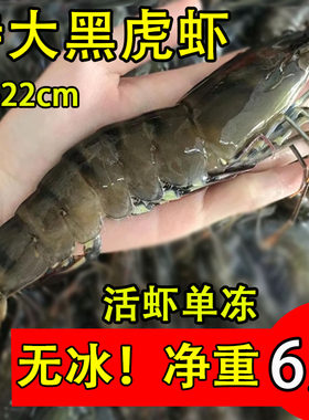 超大黑虎虾老虎虾大虾王顺丰冷链