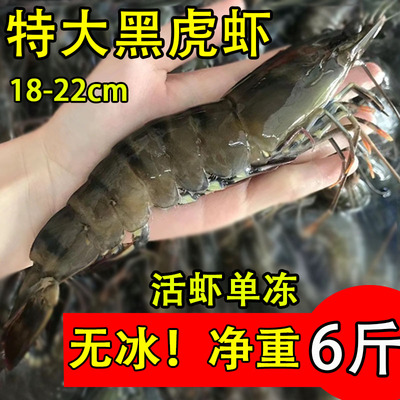 黑虎虾 Свежая и лаодийская тигроя креветки скорость замороженные пятна фестиваль.