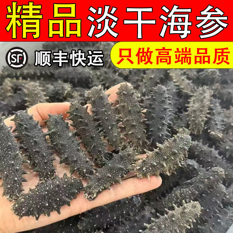 纯淡干海参野生刺参大连辽参