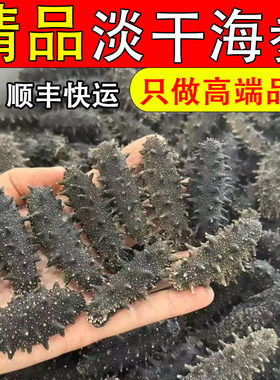 纯淡干海参野生刺参大连辽参