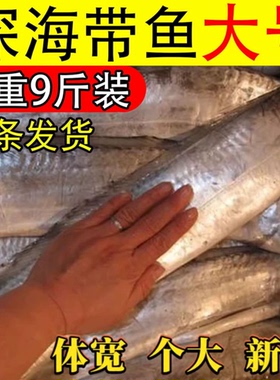 带鱼新鲜冷冻大白刀鱼钓带大带鱼鲜活捕捞整条海鲜水产整箱