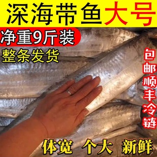 带鱼新鲜冷冻大白刀鱼钓带大带鱼鲜活捕捞整条海鲜水产整箱
