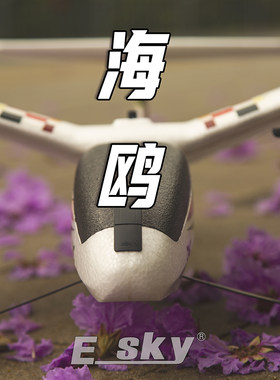 ESKY海鸥遥控固定翼6轴自稳