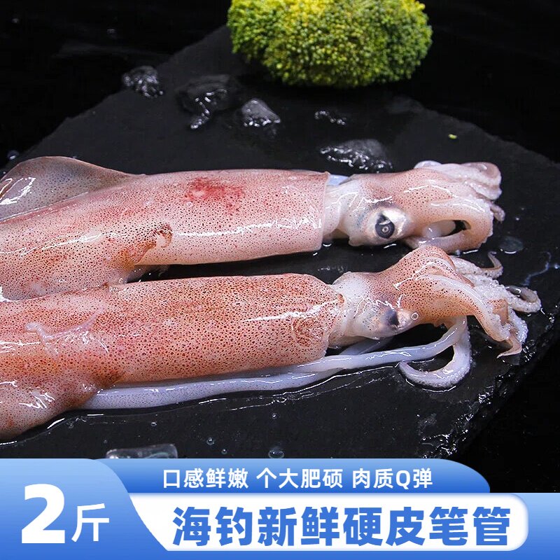 舟山海钓鲜活冻硬皮笔管鱿鱼