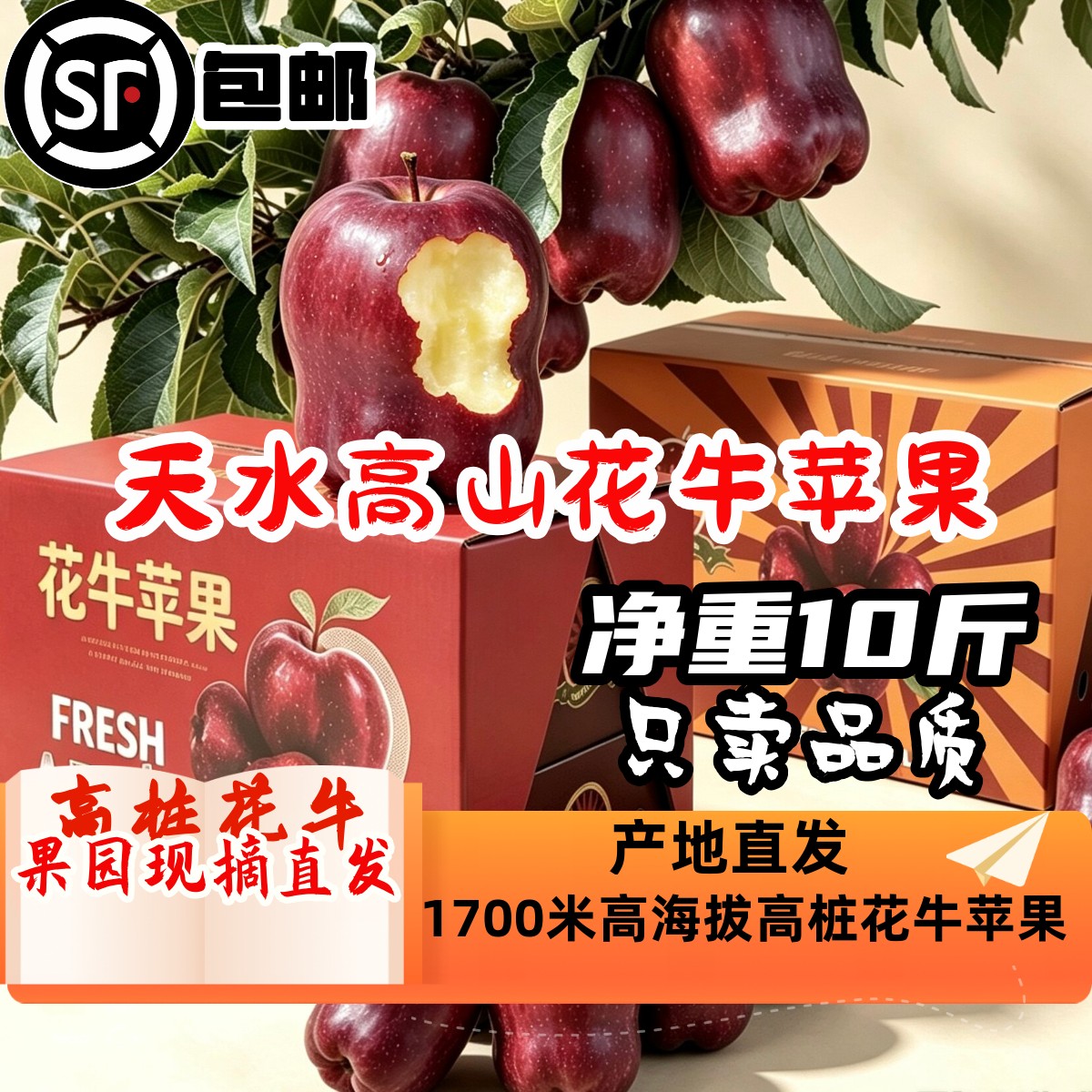 正宗甘肃天水花牛苹果爆甜多汁粉脆两吃当季新果产地直发包邮