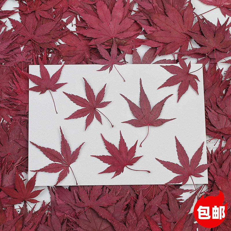 网红森系创意唯美蛋糕装饰品摆件仿真红枫叶插件红树叶甜品台装扮图片