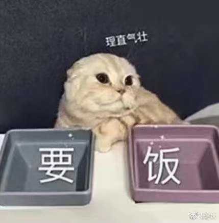 万能的一元链接当当当当！！！图片
