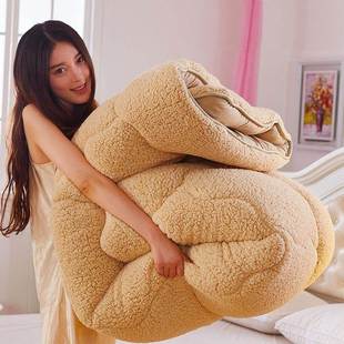 winter quilt comforter blanket duvet bed cover 保暖毛绒冬被