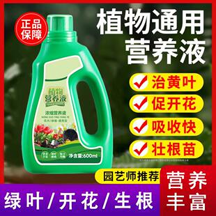营养液植物通用型室内盆栽发财树富贵竹绿萝多肉专用花卉绿植肥料
