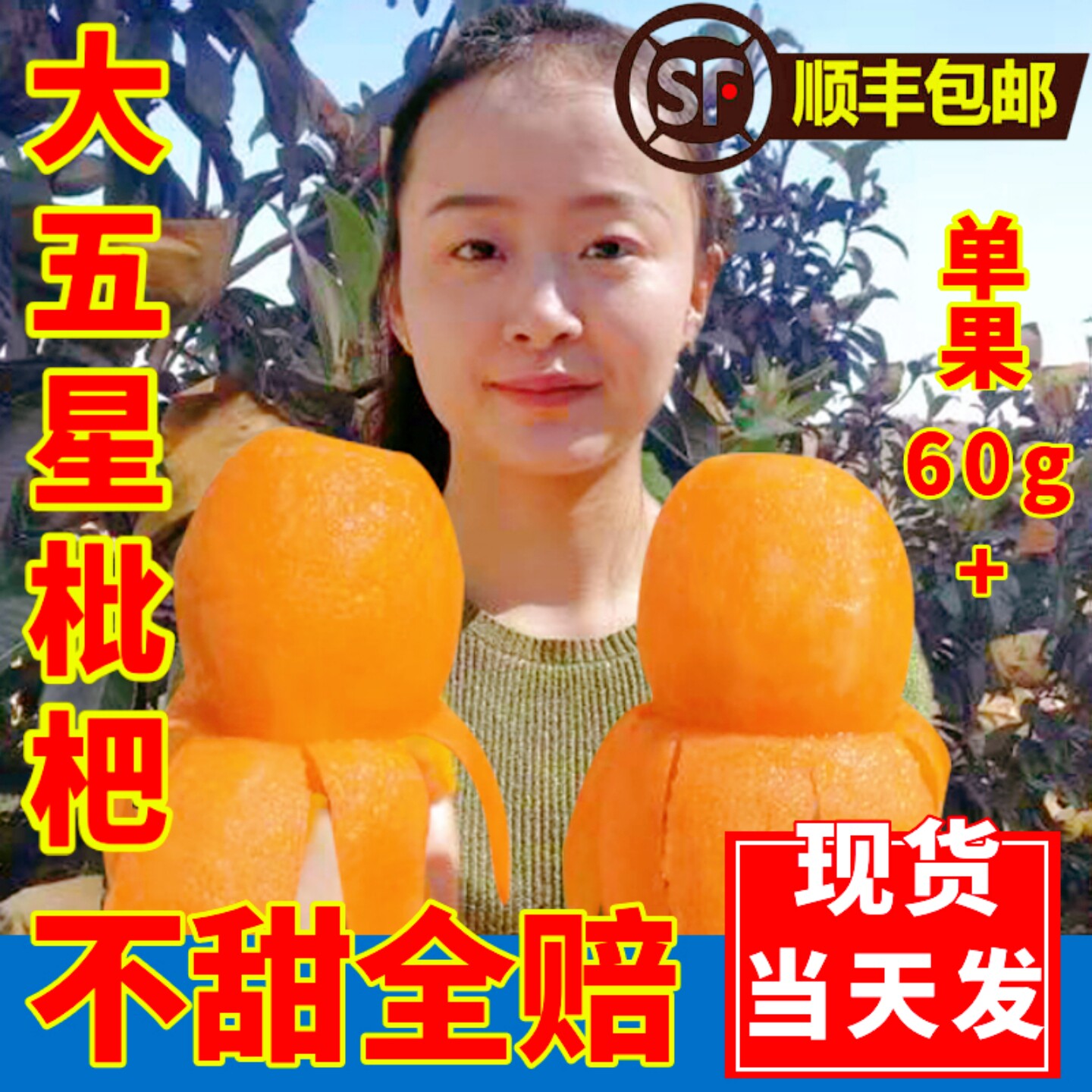 四川枇杷鲜果大五星琵琶果大果批把当季新鲜整箱现摘5斤水果米易3