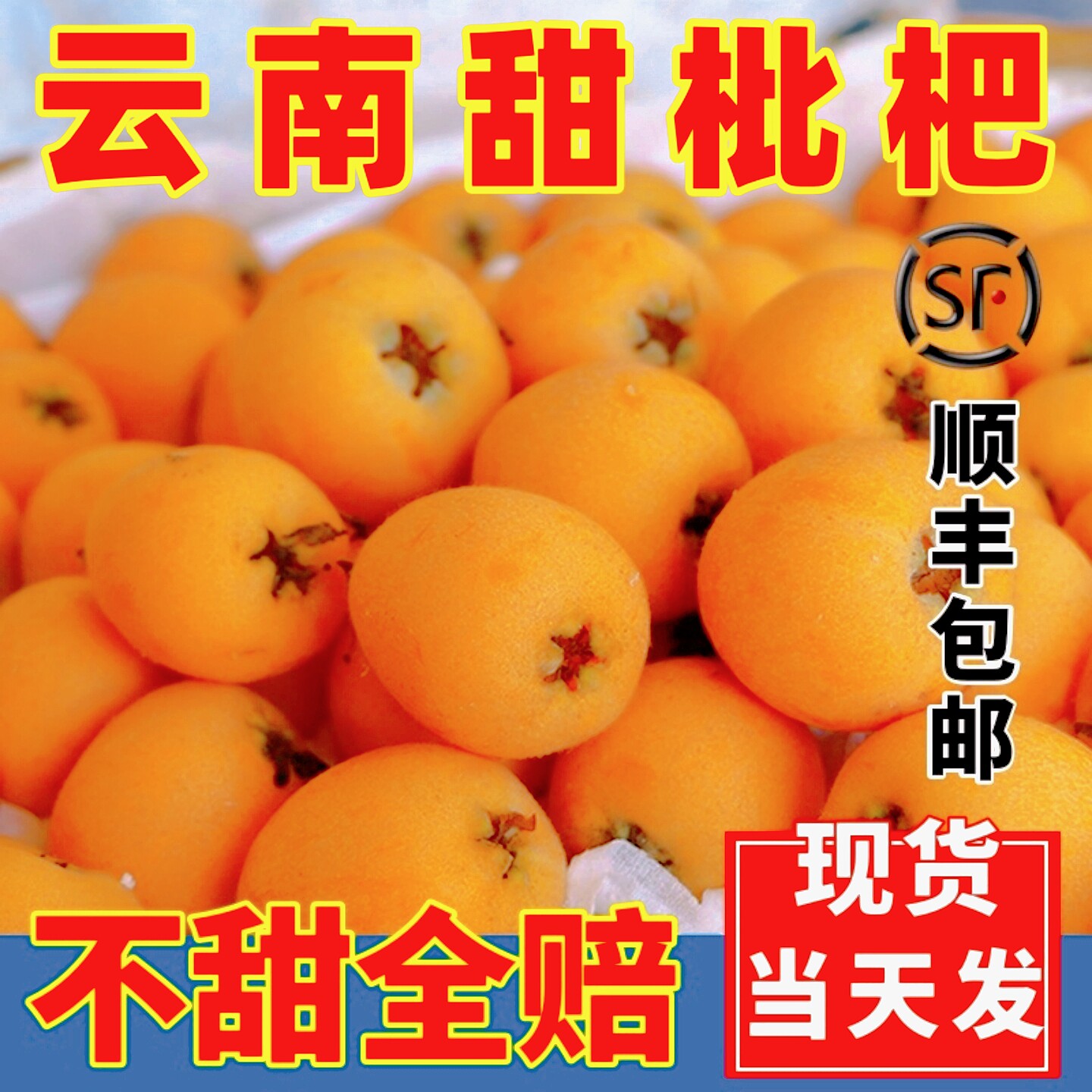 云南蒙自枇杷鲜果大果甜批把新鲜水果现摘枇杷果当季整箱顺丰包邮