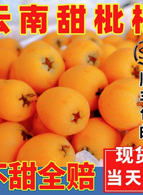云南蒙自枇杷鲜果大果甜批把新鲜水果现摘枇杷果当季整箱顺丰包邮