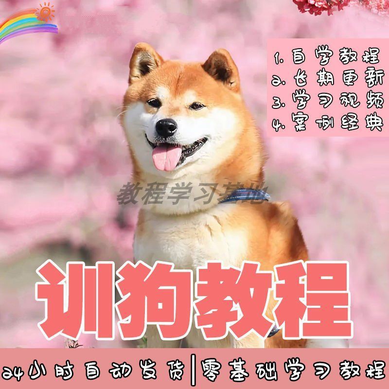 训狗教程视频狗狗训练器训犬神器课程训犬师一对一指导零基础训练