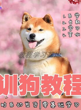 训狗教程视频狗狗训练器训犬神器课程训犬师一对一指导零基础训练