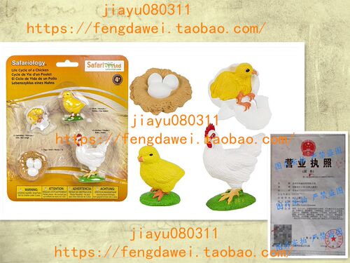 美国Safari Ltd Safariology the Life Cycle of a Chicken