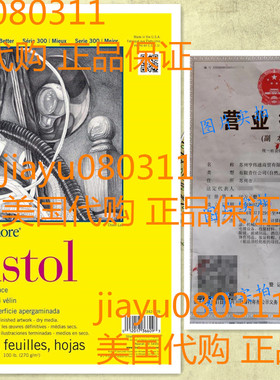 Strathmore Bristol Vellum Paper Pad, 9 x 12-Inch, 20 Sheets