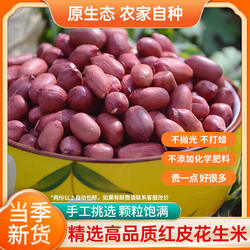 去壳红皮花生米神农架农家红皮花生米土花生手工挑选新鲜晒干500g