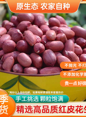 去壳红皮花生米神农架农家红皮花生米土花生手工挑选新鲜晒干500g