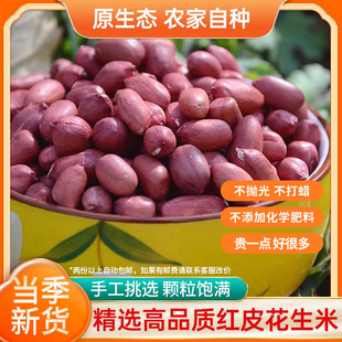 去壳红皮花生米神农架农家红皮花生米土花生手工挑选新鲜晒干500g