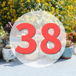 直播专用链接38号